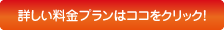 一戸建て・マンションの室内清掃の料金はコチラ